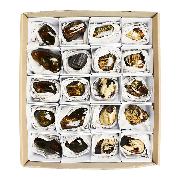 Anschliffe Bernstein (Sumatra), 6,0 - 7,5cm (20 St./VE) | Marco Schreier