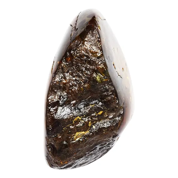 Anschliffe Bernstein (Sumatra), 9,0 - 10,0cm (9 St./VE) | Marco Schreier