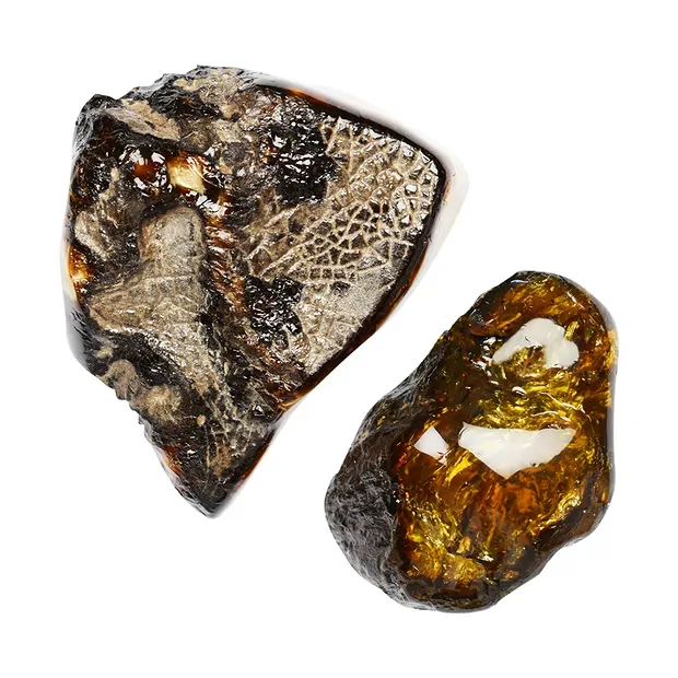 One side polished piece Amber (Sumatra), 9,0 - 10,0cm (9 pcs./ PU) | Marco Schreier