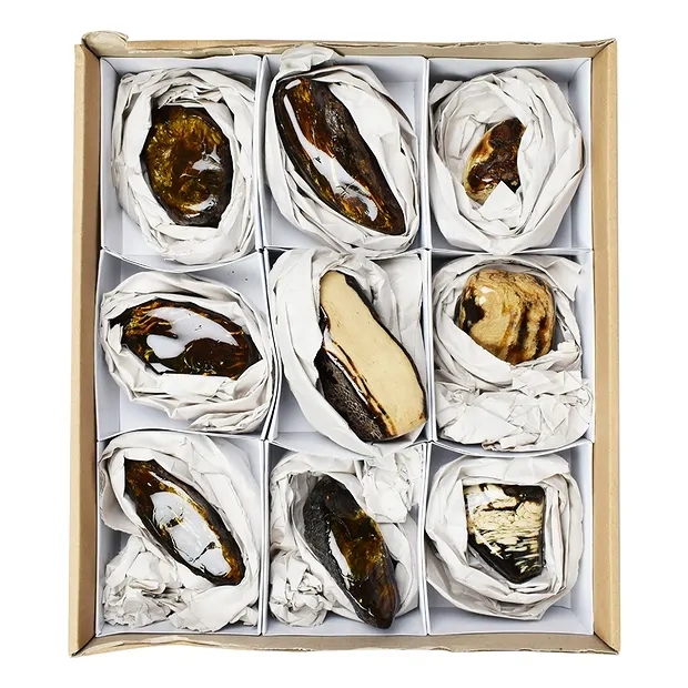 Anschliffe Bernstein (Sumatra), 9,0 - 10,0cm (9 St./VE) | Marco Schreier