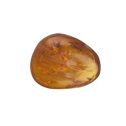 0503609006 Trommelstein Bernstein, 2,5cm, mit Inkluse | GH Edelsteine, Heilsteine & Schmuck