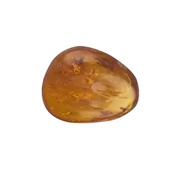 0503609006 Trommelstein Bernstein, 2,5cm, mit Inkluse | GH Edelsteine, Heilsteine & Schmuck