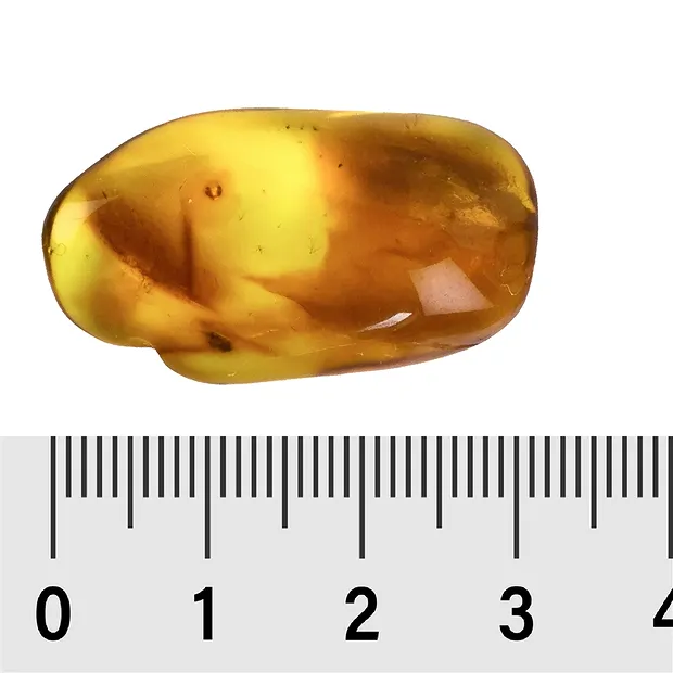 Trommelsteine Bernstein, 2,5 - 4,0cm (100g/VE) | Marco Schreier