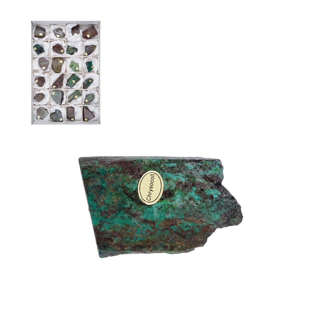 Recorte cuprita crisocola, 03 - 06cm (24 pzas./paquete) | Marco Schreier