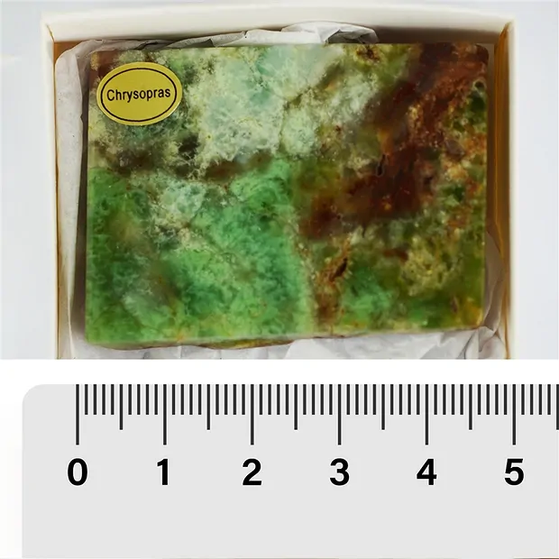 One side polished pieces Chrysoprase, 04 - 05cm (24 pcs./ PU) | Marco Schreier