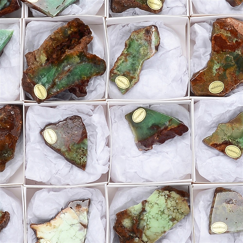 One side polished pieces Chrysoprase, 04 - 05cm (24 pcs./ PU) | Marco Schreier