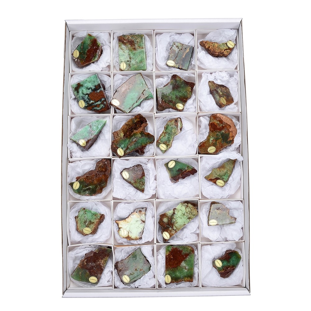 One side polished pieces Chrysoprase, 04 - 05cm (24 pcs./ PU) | Marco Schreier