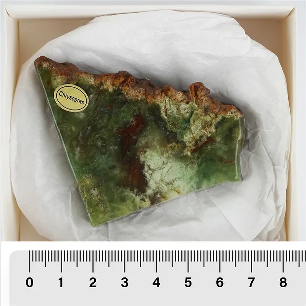 One side polished pieces Chrysoprase, 06 - 09cm (12 pcs./ PU) | Marco Schreier