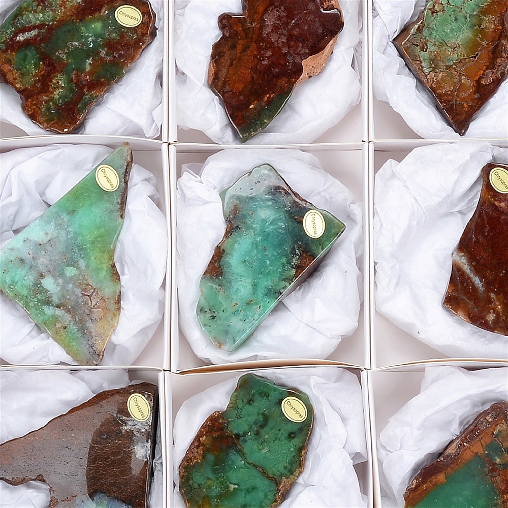 One side polished pieces Chrysoprase, 06 - 09cm (12 pcs./ PU) | Marco Schreier