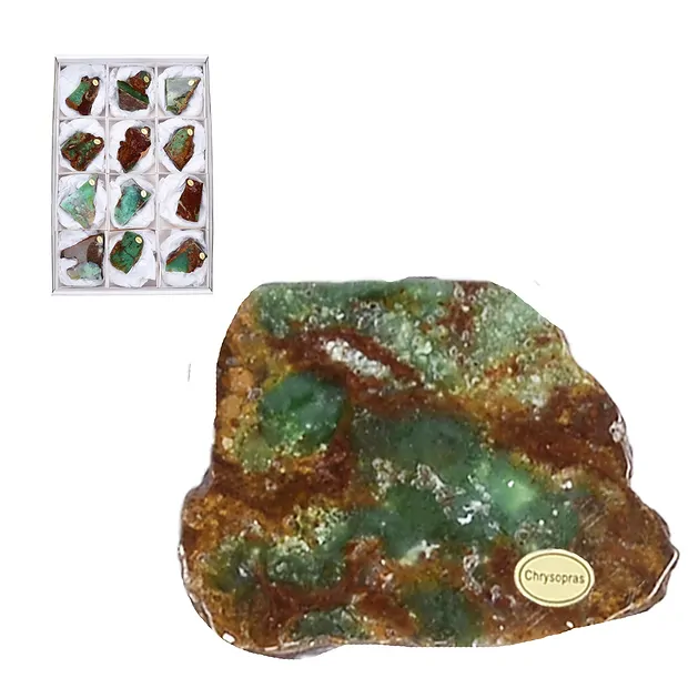One side polished pieces Chrysoprase, 06 - 09cm (12 pcs./ PU) | Marco Schreier