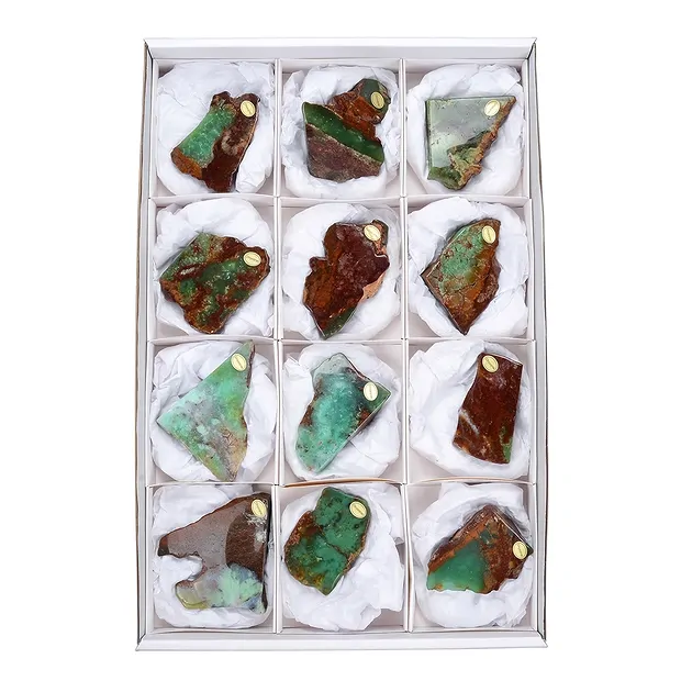 One side polished pieces Chrysoprase, 06 - 09cm (12 pcs./ PU) | Marco Schreier