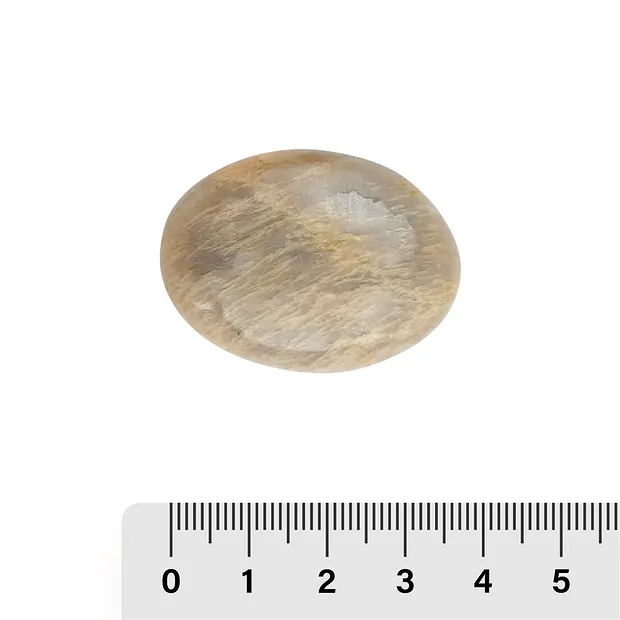 Linsensteine Mondstein, 3,5 - 4,0cm (6 St./VE) | Marco Schreier