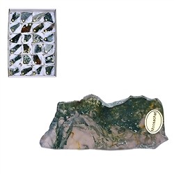 0511402124 Plaques Agate mousse, 04 - 06cm (24 pcs/UC) | Marco Schreier