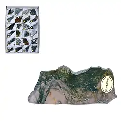 0511402124 Slabs Moss Agate, 04 - 06cm (24 pcs./ PU) | wholesaler gems & healing stones