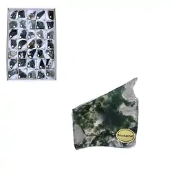 0511402135 Slabs Moss Agate, 03 - 04,5cm (35 pcs./ PU) | wholesaler gems & healing stones