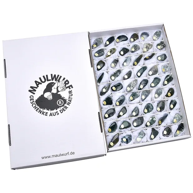 Trommelsteine Moosachat, 3,5 - 4,5cm (54 St./VE) | Marco Schreier