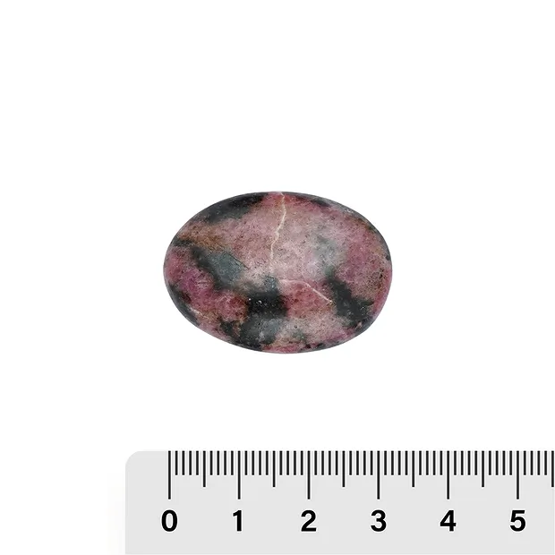 Lente di pietra di Rodonite, 3,0 - 3,3 cm (6 pz./ UC) | Marco Schreier
