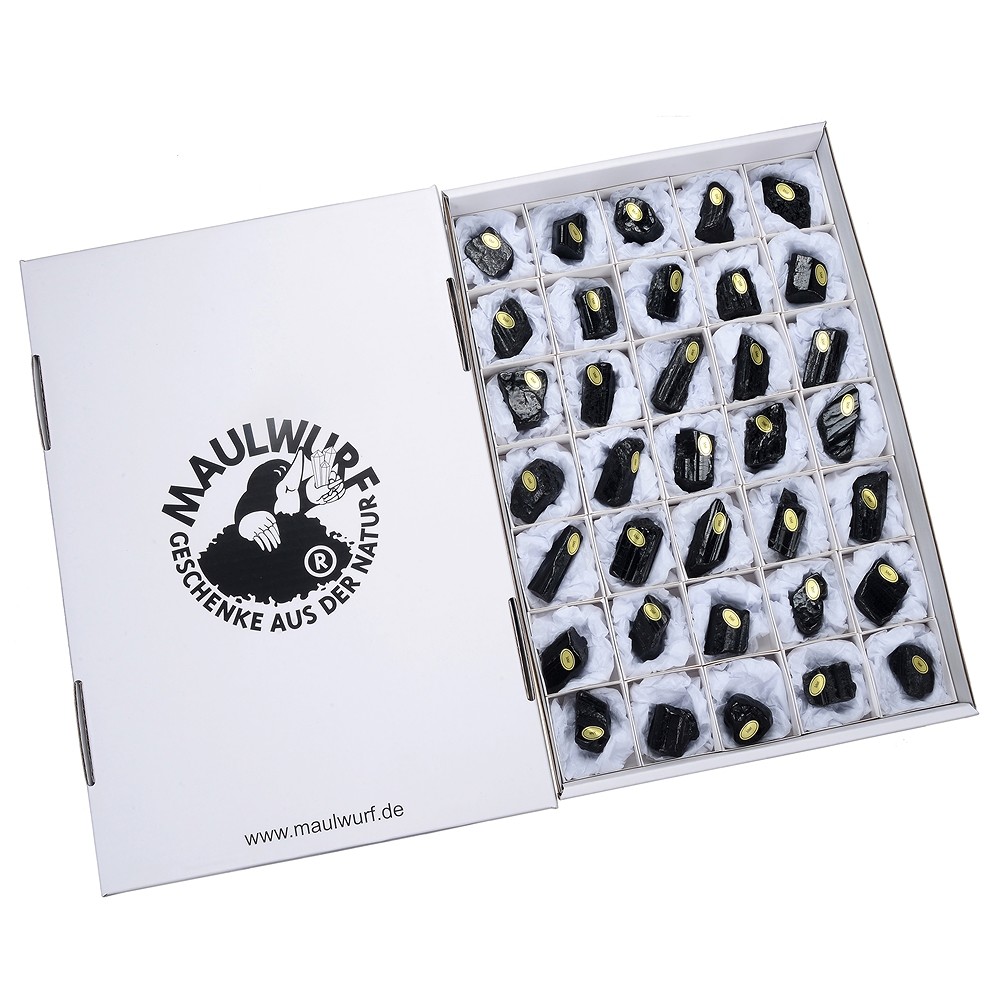 Cristalli grezzi di Schorl, 02 - 04 cm, lucidati (35 pz./ UC) | Marco Schreier