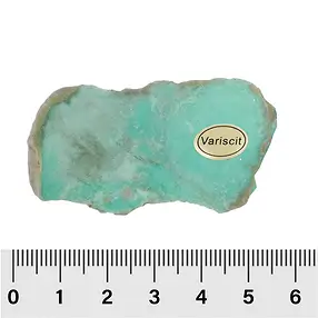 Pièces polies d'un côté Variscite 4,5 - 6,5cm (12 pcs/UC) | Marco Schreier