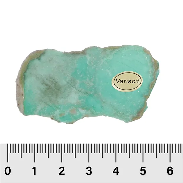 Anschliffe Variscit 4,5 - 6,5cm (12 St./VE) | Edelsteine, Heilsteine & Schmuck