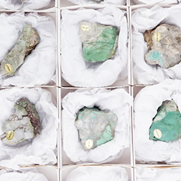 One side polished pieces Variscite 4,5 - 6,5cm (12 pcs./ PU) | Marco Schreier
