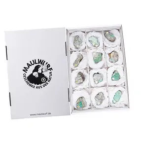 Pièces polies d'un côté Variscite 4,5 - 6,5cm (12 pcs/UC) | Marco Schreier