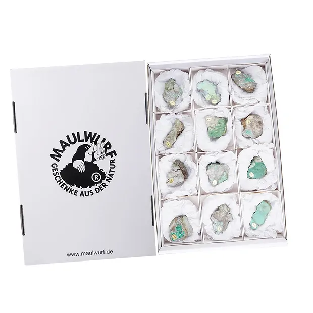 One side polished pieces Variscite 4,5 - 6,5cm (12 pcs./ PU) | Marco Schreier