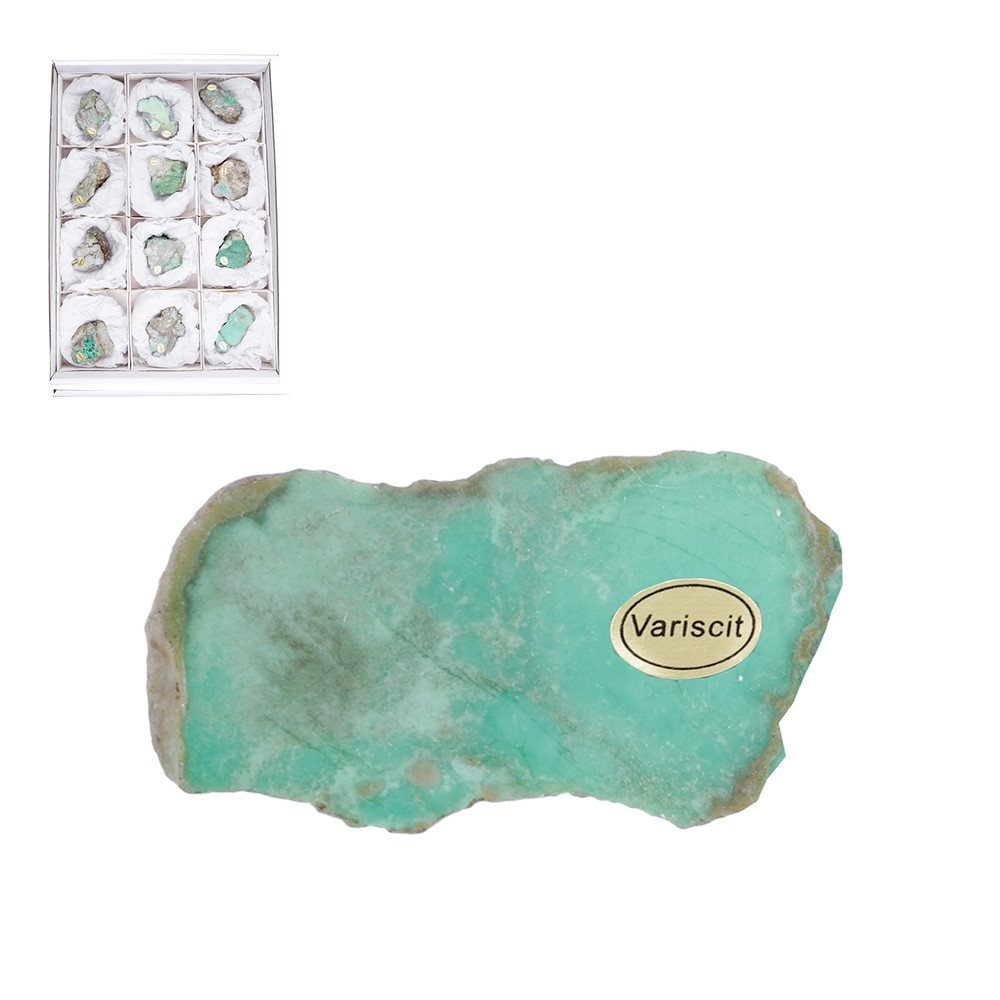 Pièces polies d'un côté Variscite 4,5 - 6,5cm (12 pcs/UC) | Marco Schreier
