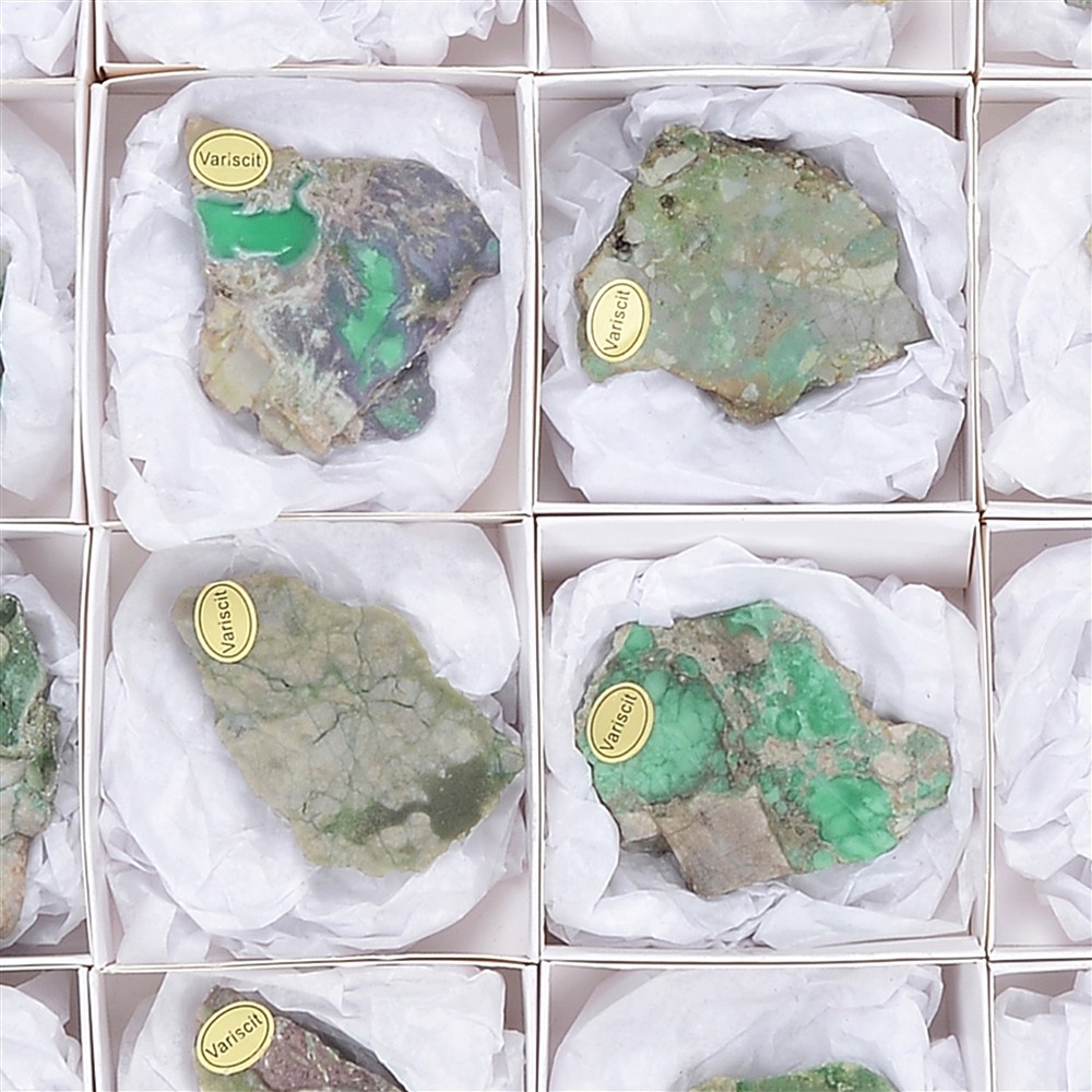 One side polished pieces Variscite, 4,0 - 6,0cm (24 pcs./ PU) | Marco Schreier
