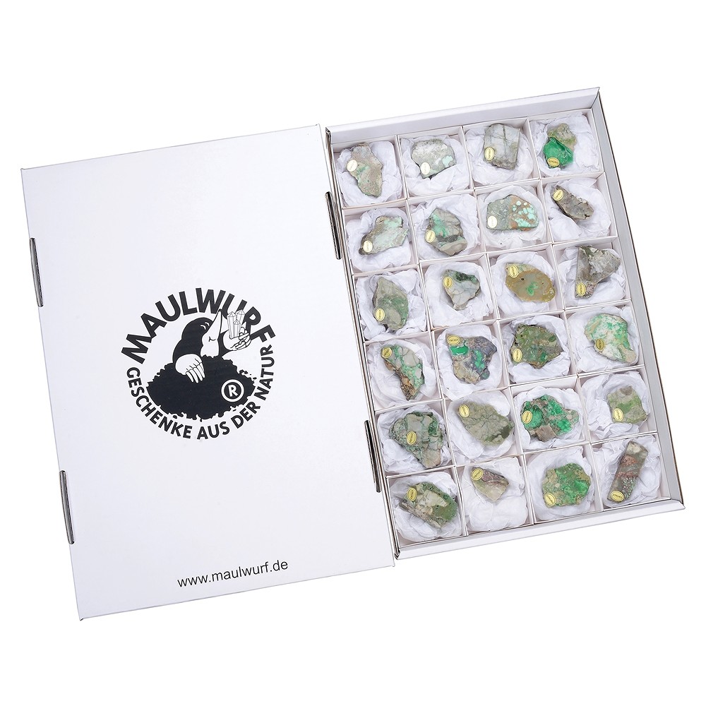 One side polished pieces Variscite, 4,0 - 6,0cm (24 pcs./ PU) | Marco Schreier