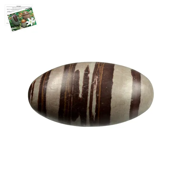 Shiva Lingam, 10 cm | Schreier - grossista di gemme, pietre curative e gioielli