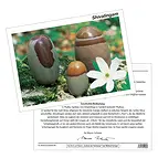 https://cdn.marcoschreier.com/content/productimages/0516409113_d1.jpg
