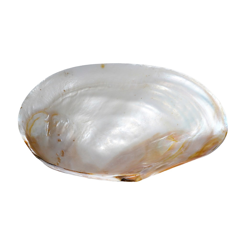 Bol en nacre (blanc), 21 cm | Marco Schreier