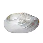 https://cdn.marcoschreier.com/content/productimages/0517509003_zoom.jpg