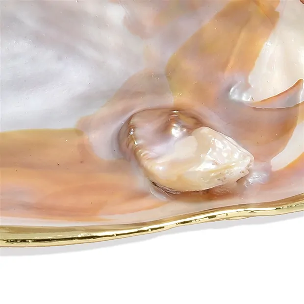 Conchiglia in Madreperla (bianca), 12 x 10 cm, bordo dorato | Marco Schreier