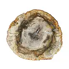 https://cdn.marcoschreier.com/content/productimages/0518705005_zoom.jpg