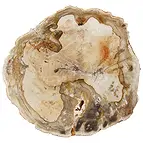 https://cdn.marcoschreier.com/content/productimages/0518705006_d1.jpg
