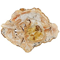 0518705006 Disque Bois silicofié, 15 - 20cm | Marco Schreier