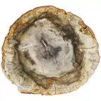 https://cdn.marcoschreier.com/content/productimages/0518705007_d1.jpg