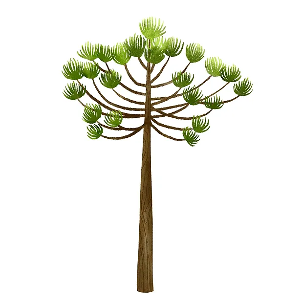 Madera petrificada lijada, 07 - 10cm, con base | Marco Schreier