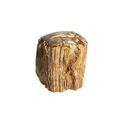 0518708002 Anschliff versteinertes Holz, 07 - 10cm, mit Standfläche | Marco Schreier