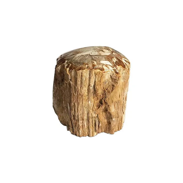 Anschliff versteinertes Holz, 07 - 10cm, mit Standfläche | Marco Schreier