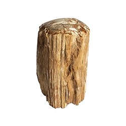 0518708003 Pièces polies d'un côté, 10 - 15cm, avec socle | Marco Schreier