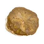 https://cdn.marcoschreier.com/content/productimages/0518708004_zoom.jpg