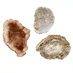 https://cdn.marcoschreier.com/content/productimages/0518708024_d3.jpg