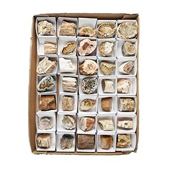 0518708035 Madera petrificada lijada, 03 - 04,5cm (35 unid./VE) | Marco Schreier