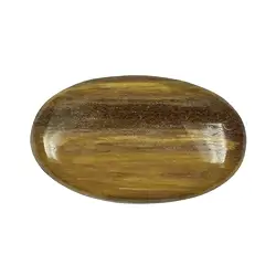 0518723001 Small Palmstone Petrified Wood | minerals trade - gems, healing stones & jewelry