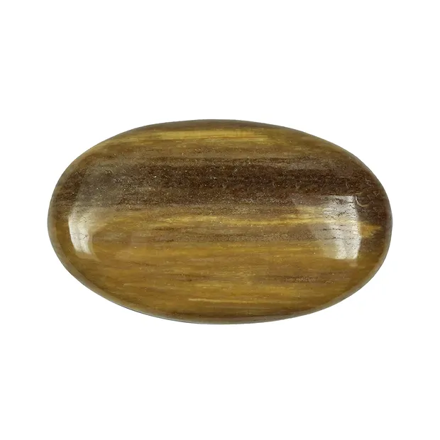 Linsenstein versteinertes Holz | Großhändler Edelsteine, Heilsteine & Schmuck