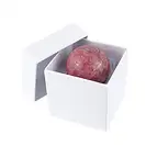 https://cdn.marcoschreier.com/content/productimages/0519001041_d1.jpg