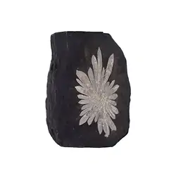 0522908005 Pietra del crisantemo tagliata, 10 cm | grossista gemme e pietre curative